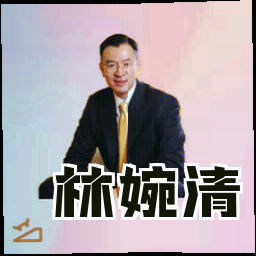 林婉清